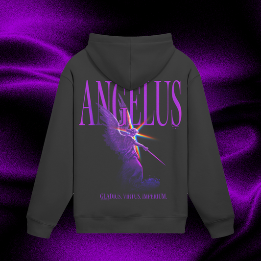 sweat hoodie streetwear angel angelus lysius vêtement 